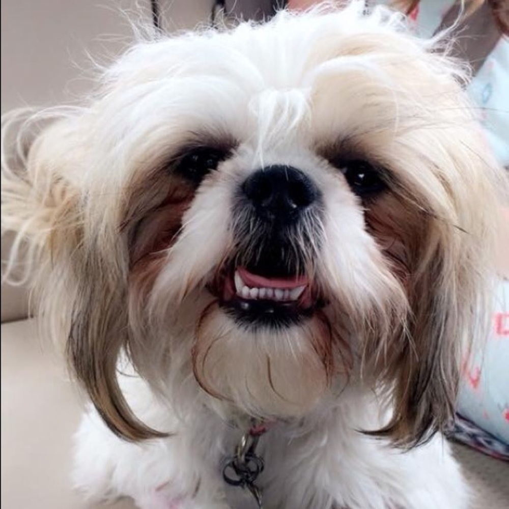 Meet your Posher, Christy